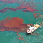 Oil Spill in Gulf